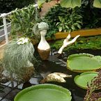 dekorace jezírka ve skleníku Botanické zahrady v Brně