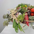 BIOkytice z bylin a zeleniny