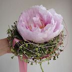 kytice z květu pivoňky