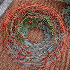 dušičkový věnec ze stříbrného smrku a šípků