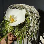 svatební kytice s květem orchideje