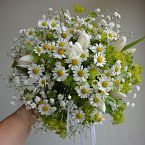 jarní svatební kytice, tulipán, Tanacetum