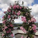 svatební slavobrána z růží na terase hotelu u Brněnské přehrady